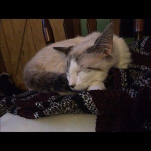 Meet your Posher, Leslie